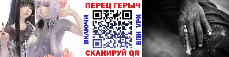 ГЕРОИН хмурый Городовиковск