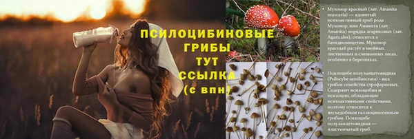 Альфа ПВП Верхнеуральск