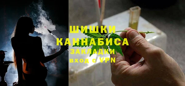 мдпв Бородино