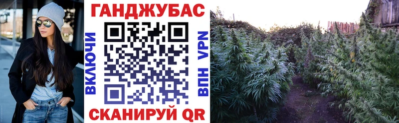 shop клад Городовиковск МАРИХУАНА White Widow